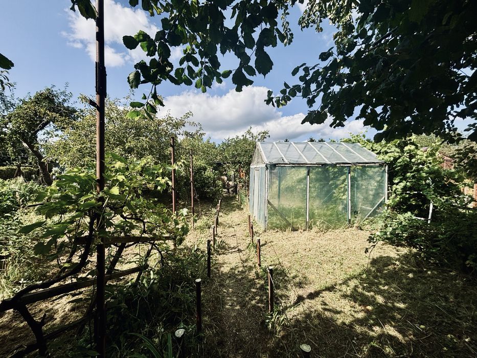 Sprzedam działkę ROD na Olszynce