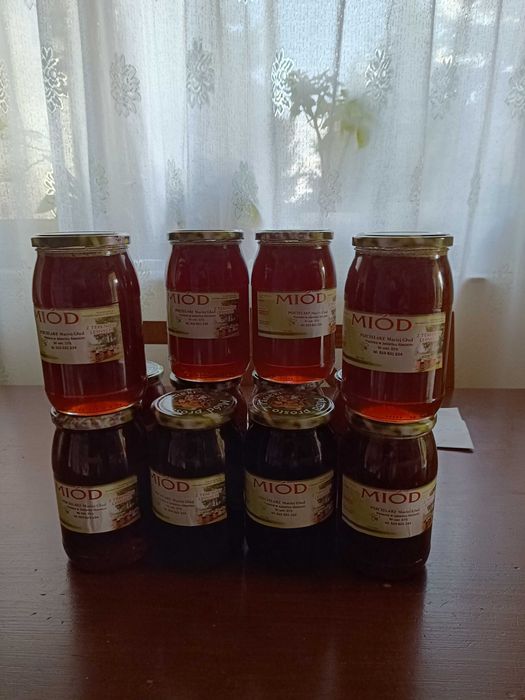 Miód spadziowy 2025