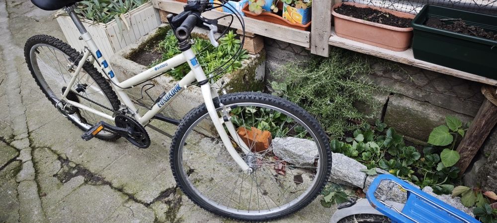 Três bicicletas bom preço