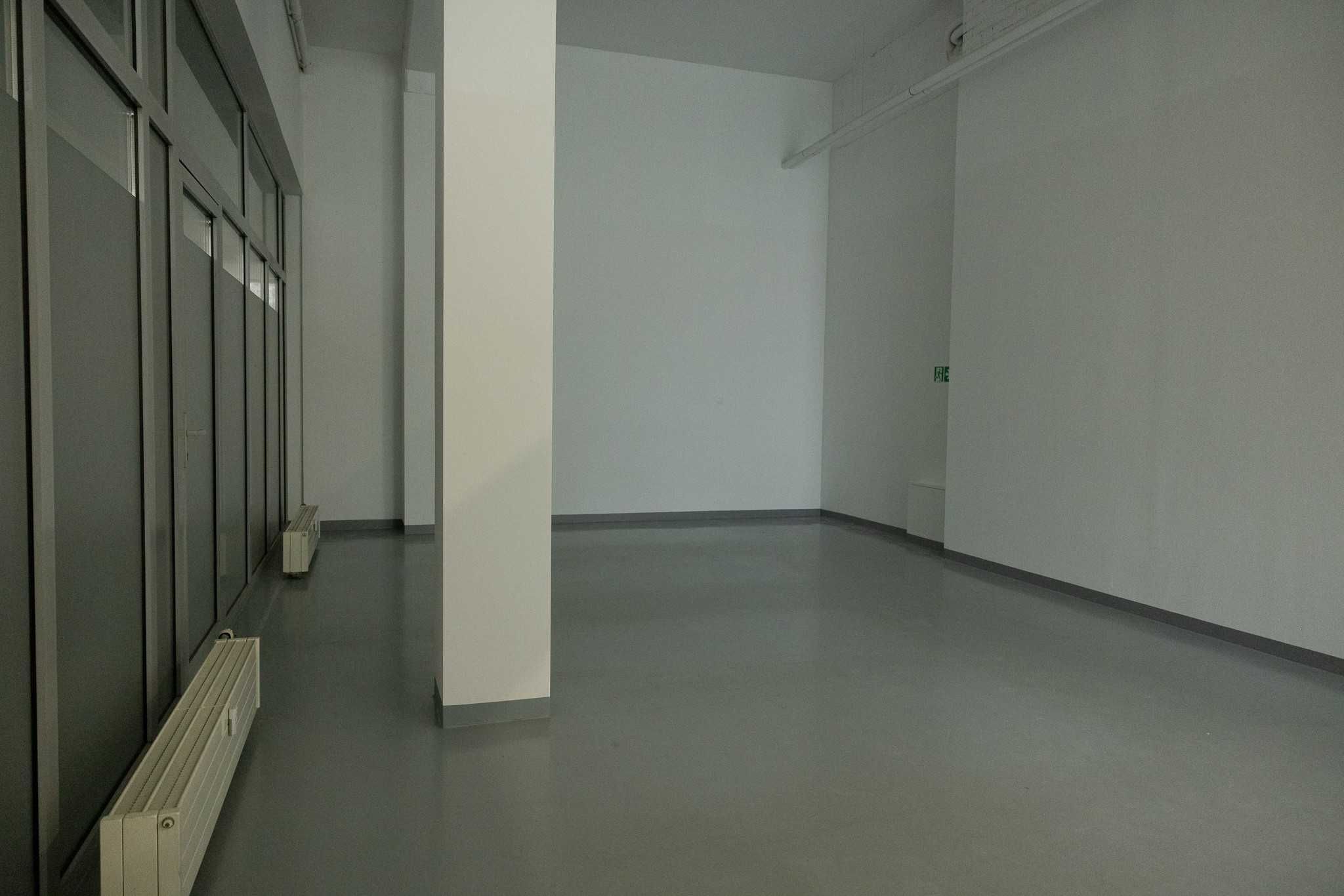 Lokal do wynajęcia - Śródmieście - 230,31m2