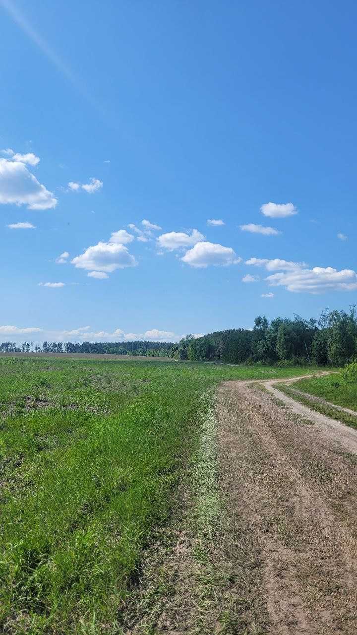 ТЕЛЕФОНУЙТЕ! Продаж ділянки на 10 соток!! Без комісії, під забудову!