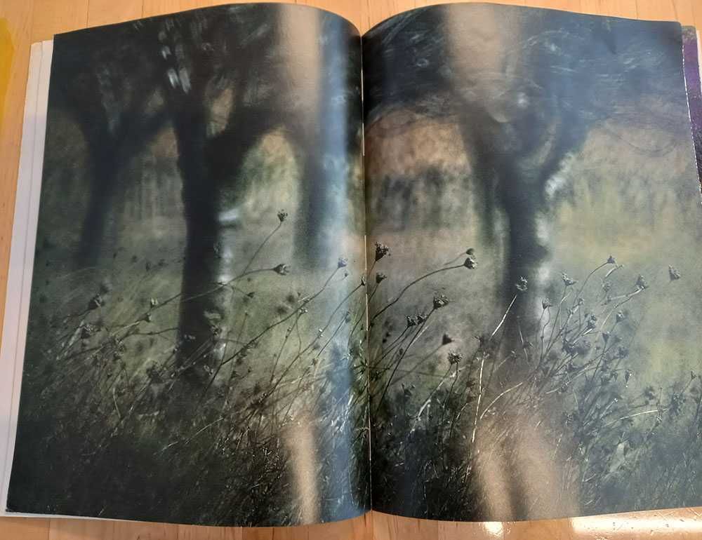 Revistas francesas Double Page