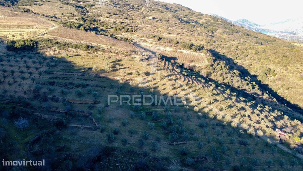 Propriedade de Excelência com Mais de 22 Hectares no Coração do Douro