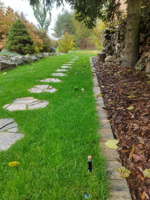 Jesienne porządki w ogrodzie