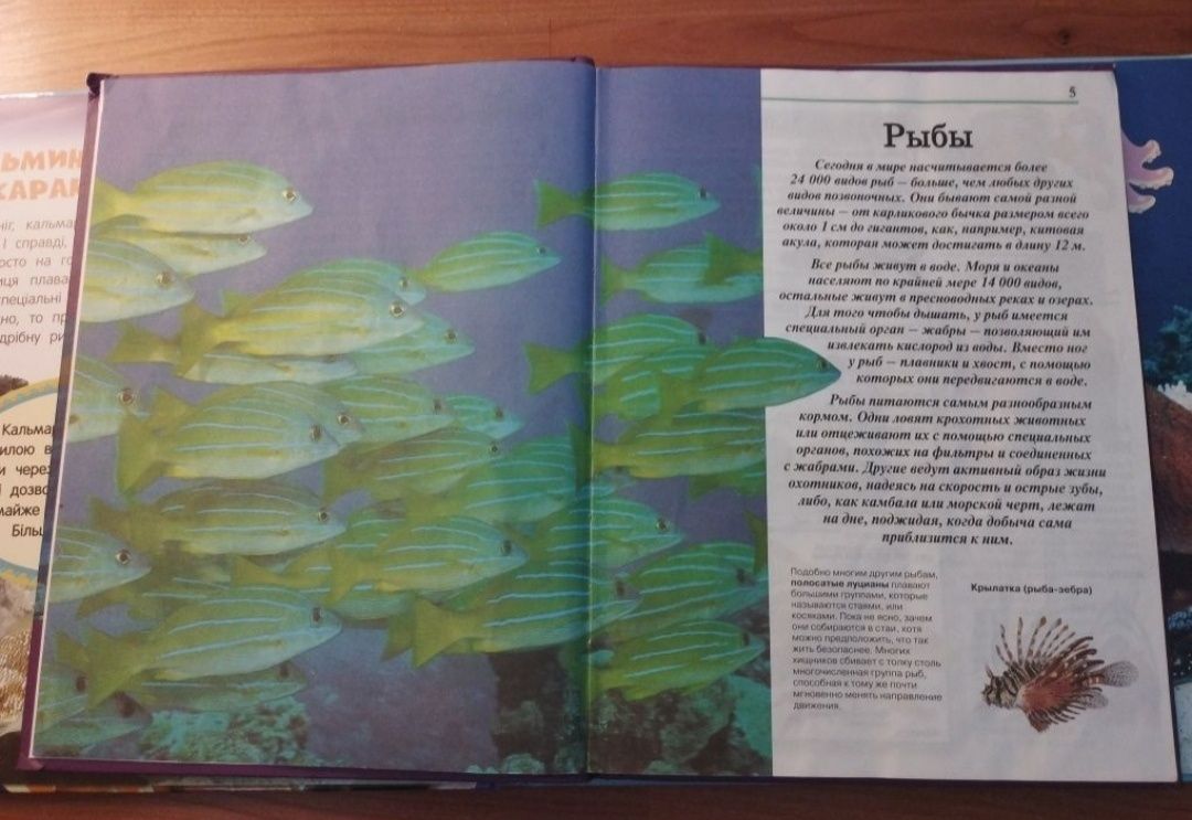 Цікаві книжки про підводний світ/риби,медузи та інші підводні істоти