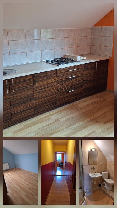 Mieszkanie do wynajecia