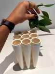 Vaso de Flores MoMA