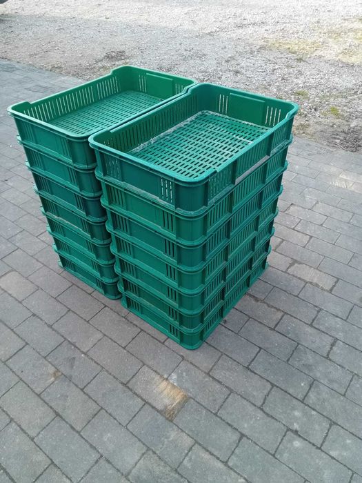 Skrzynki plastikowe czeszki