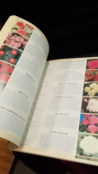 Rosas - Manual de cultivo y conservación - Dr. D. G. Hessayon