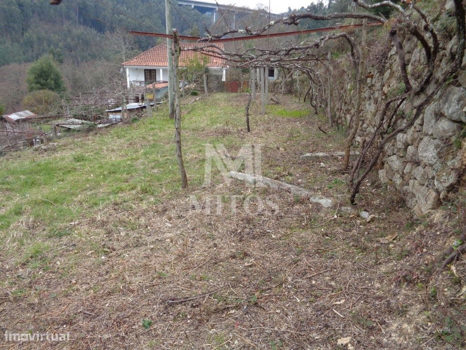 Terreno com ruina para venda na Labruja - Ponte de Lima