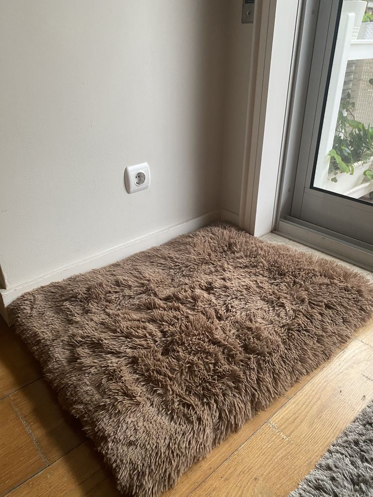 Cama para Cao castanha