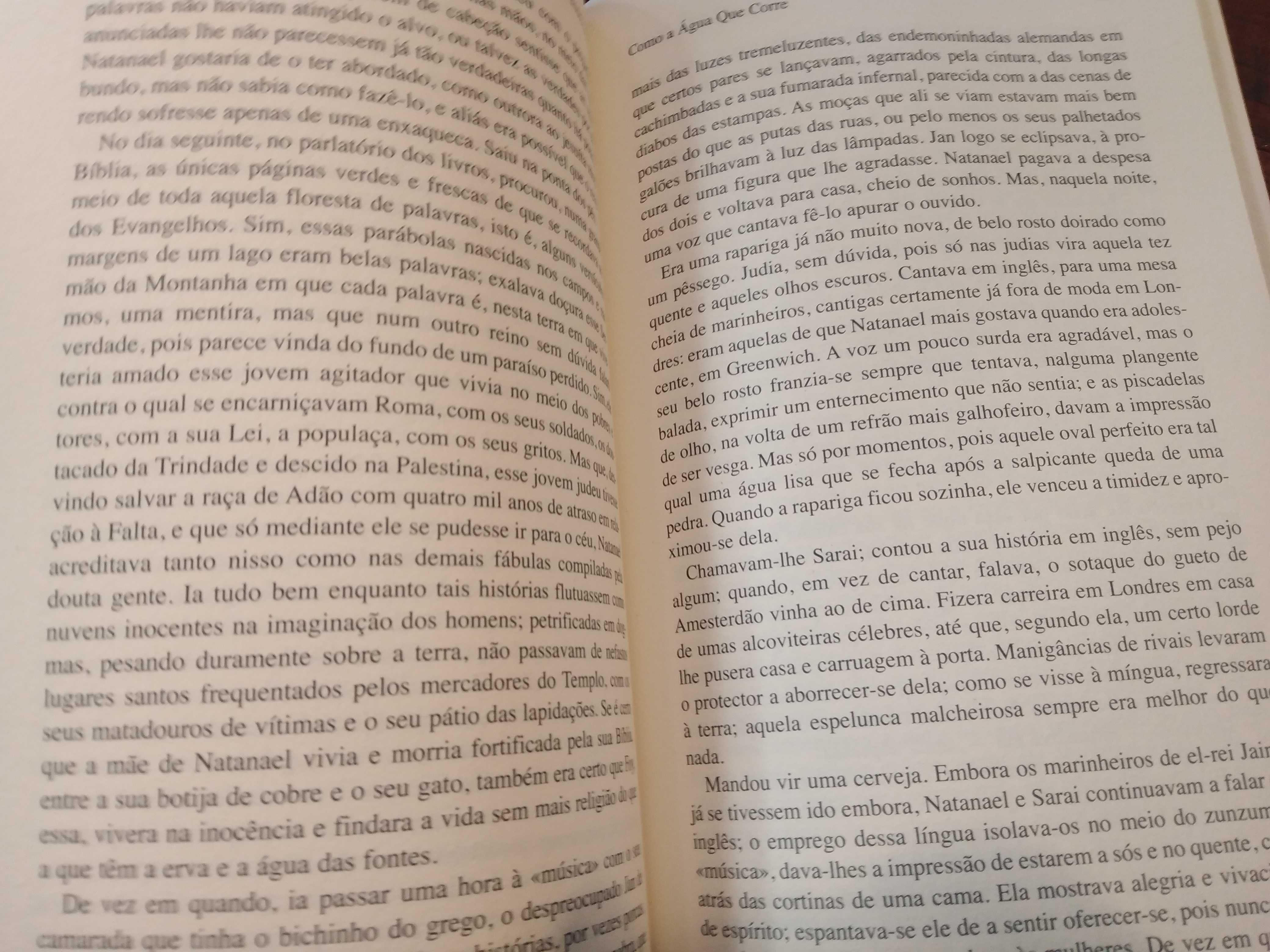 Marguerite Yourcenar - Como a água que corre