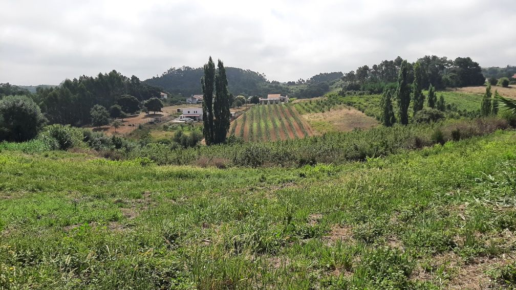Terreno rustico p/ venda
