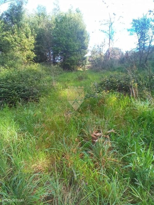 Terreno Rústico com 800 m² - Fonte Arcada