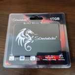 SSD Somnambulist 1Tb