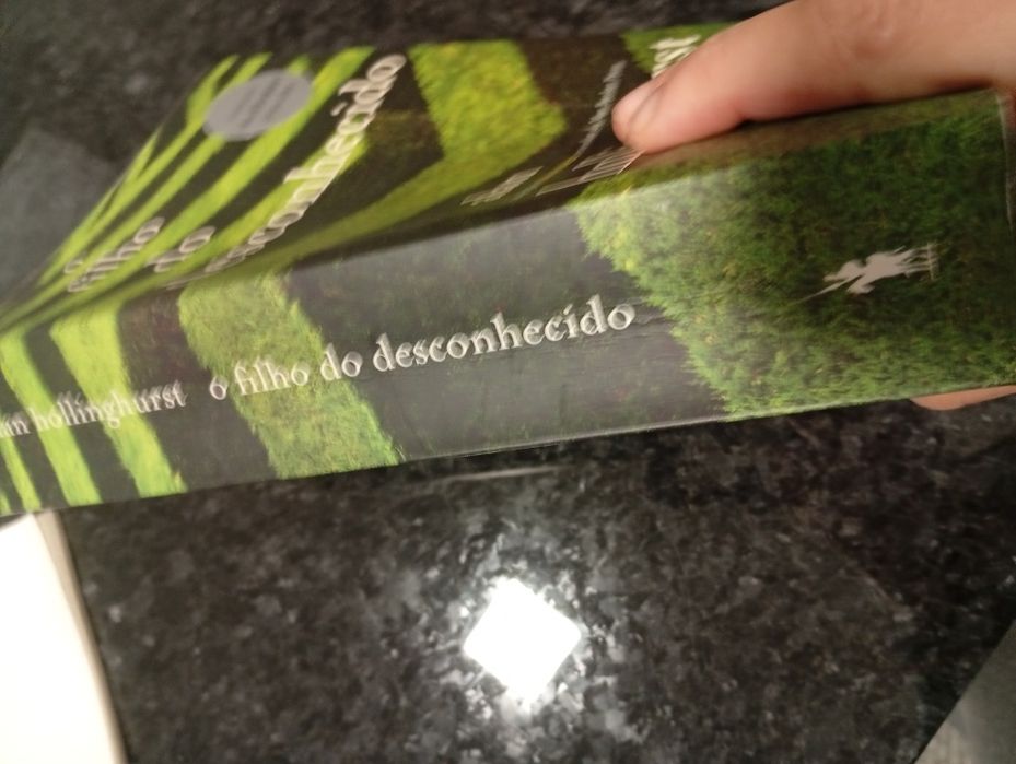 Vendo o livro "O Filho do Desconhecido", de Alan Hollinghurst