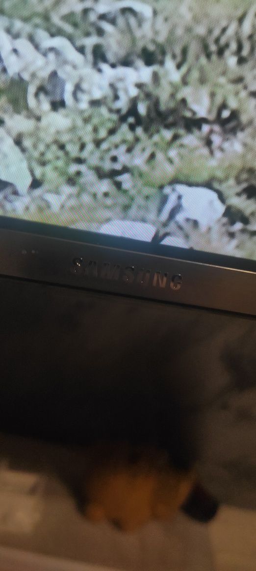 Telewizor LED Samsung 55 cali Smart TV UHD