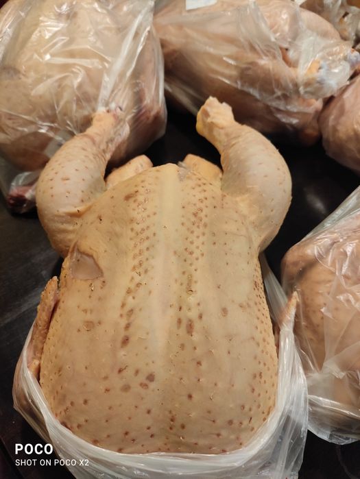 Мясо домашніх перепелів та бройлерів .Домашні яйця.