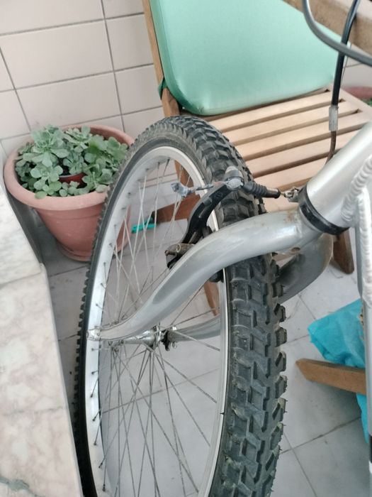 Bicicleta adulto