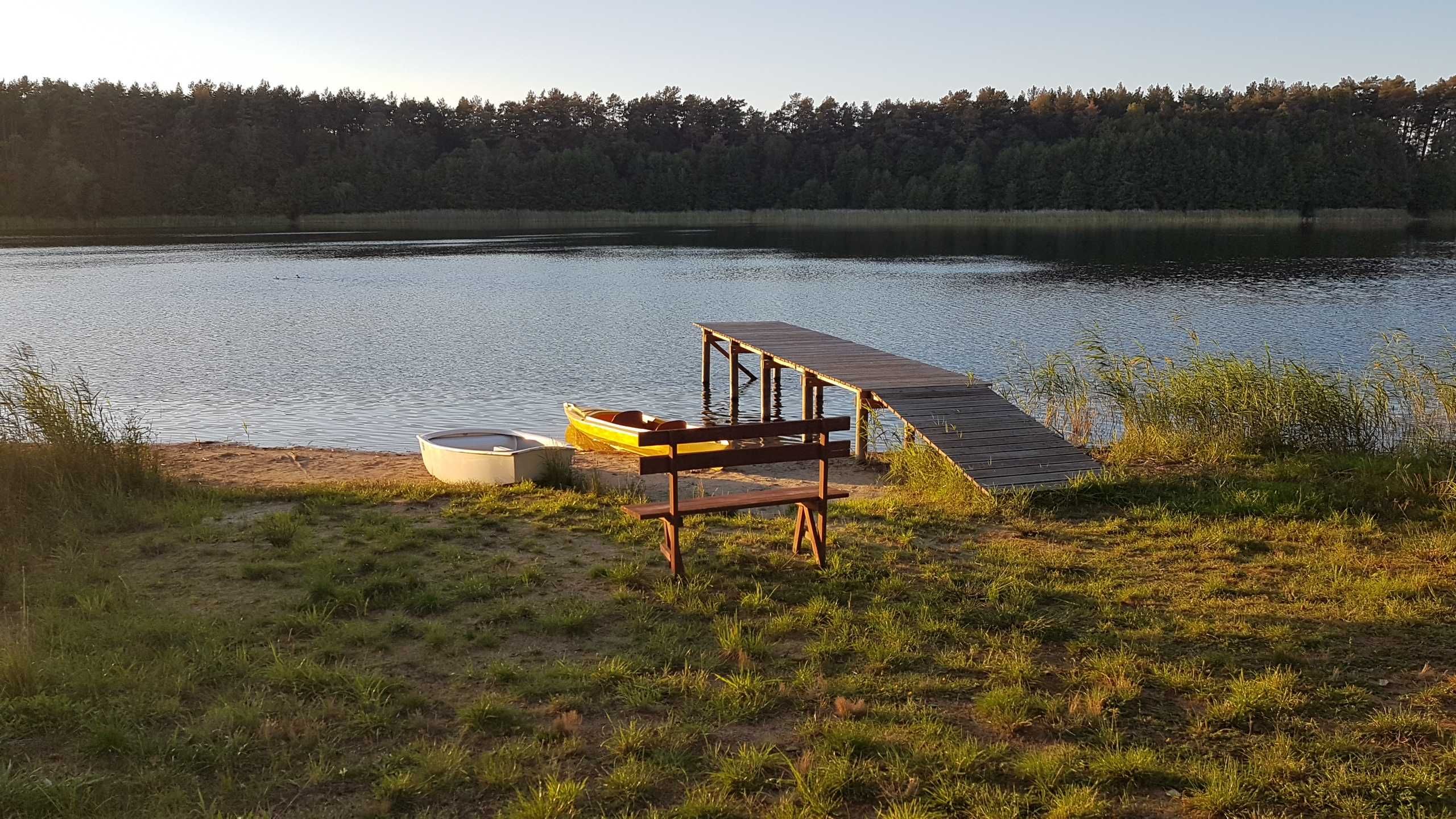 Domek nad jeziorem. Bory Tucholskie.  Las, ryby, grzyby.