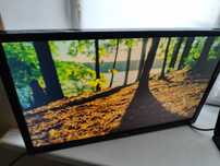Монітор LG 24 дюйми