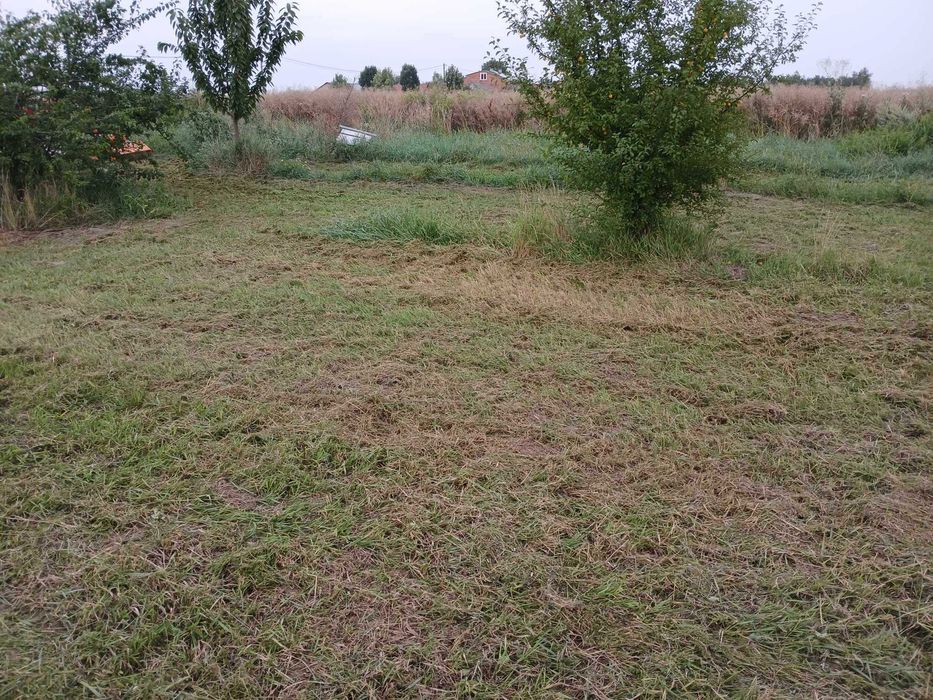 Wynajem kosiarki bijakowej, sprzątanie działek