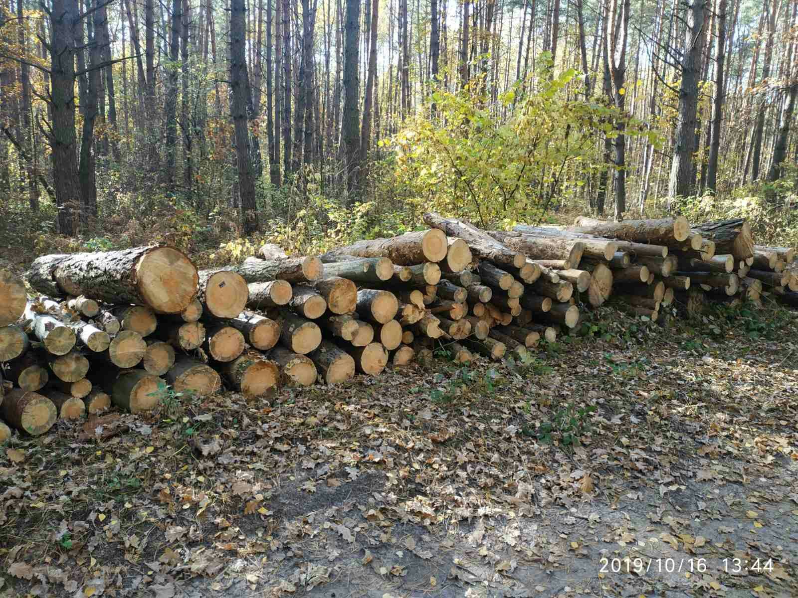 Дрова соснові,дубові...10000грн