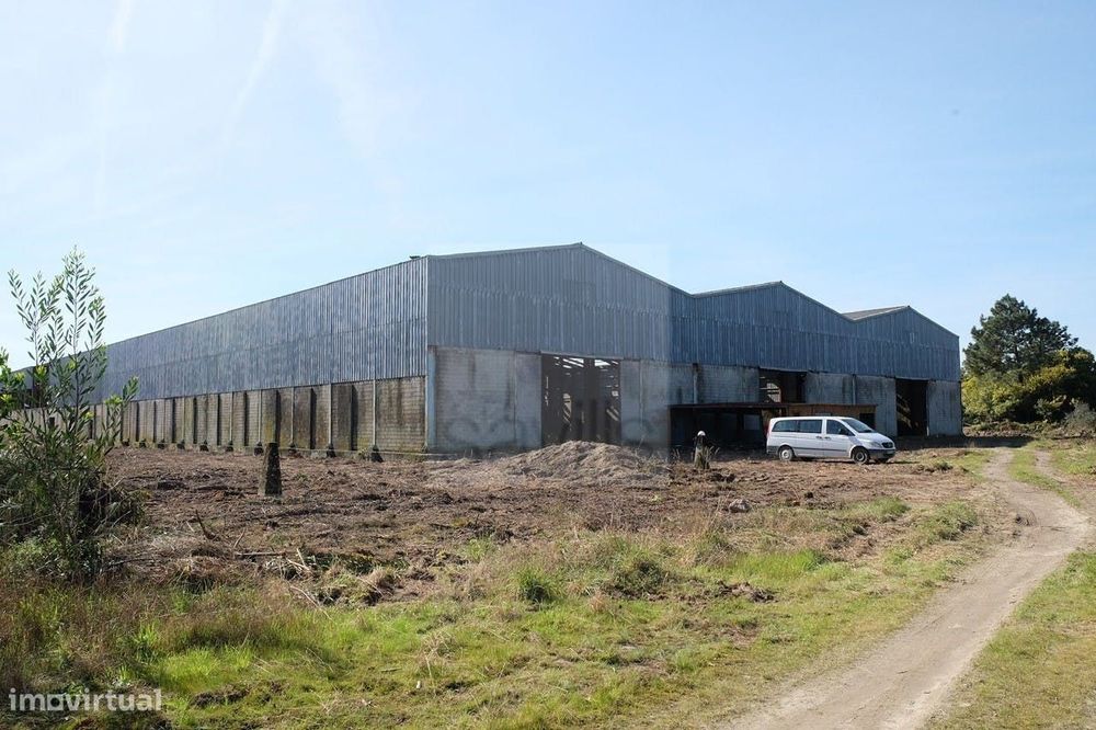 Terreno - Land, Viana do Castelo