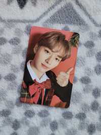 Stray Kids Lee Know Minho Christmas Evel photocard