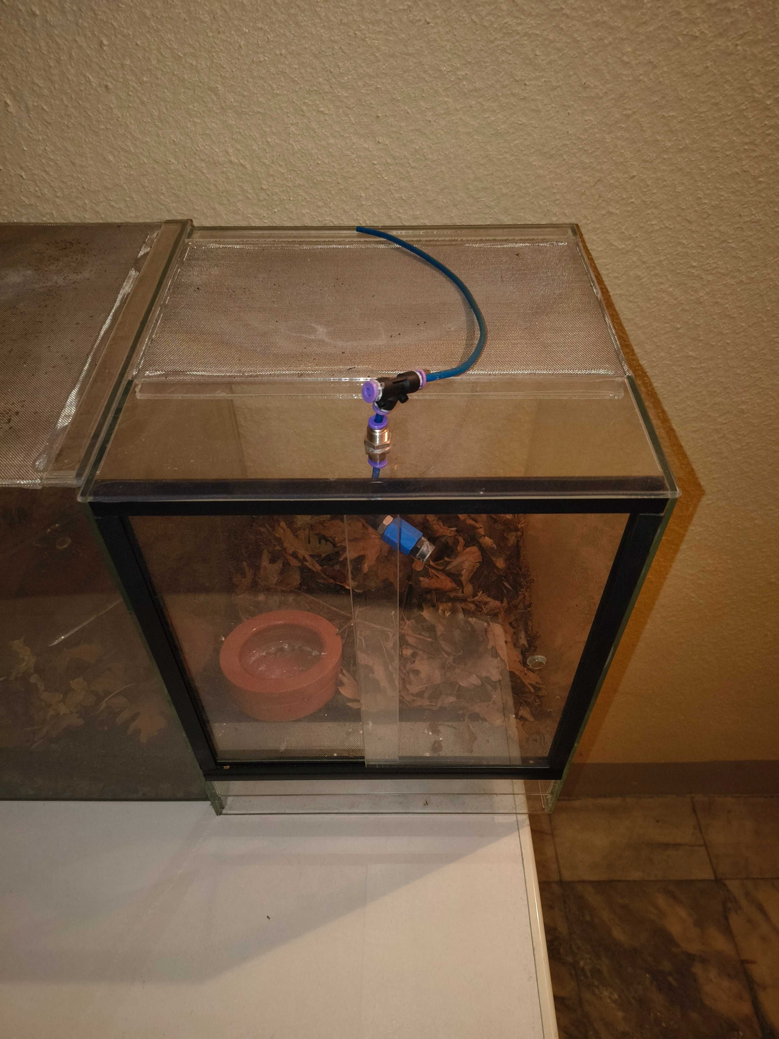 Terrários em vidro