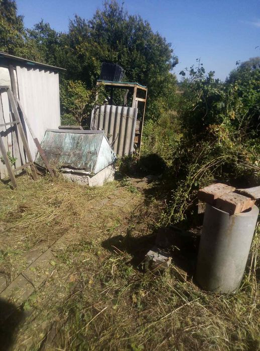 Продам дом в с. Боровая