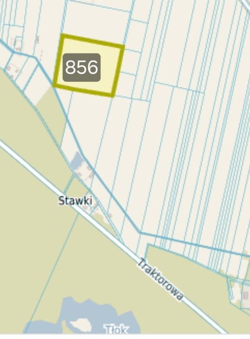 Sprzedam zadrzewioną działkę o powierzchni 2.79 ha