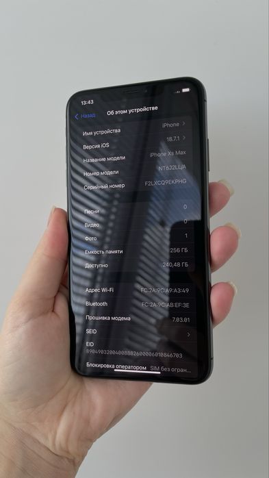 IPhone XS max 256 Gb Space Gray Neverlock