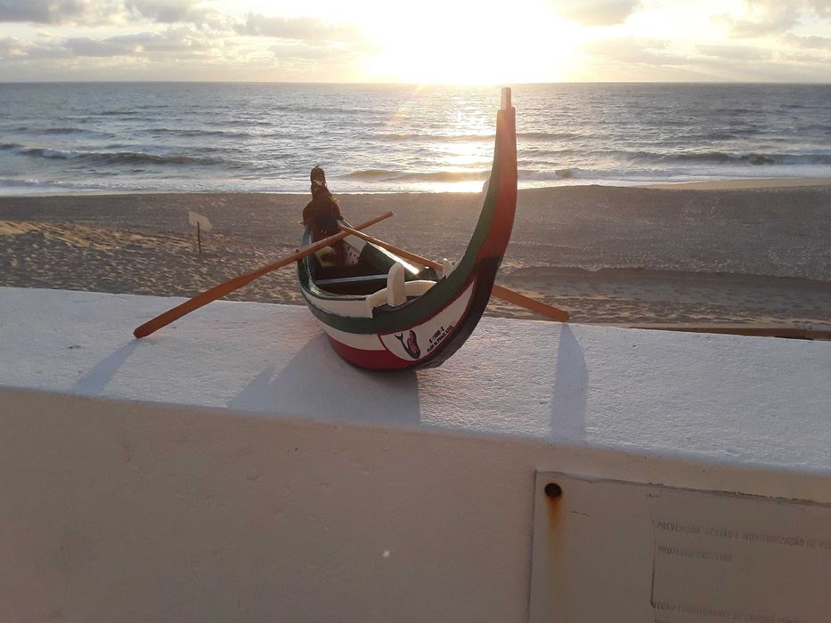 Barco de pesca (arte xavega) artesanal