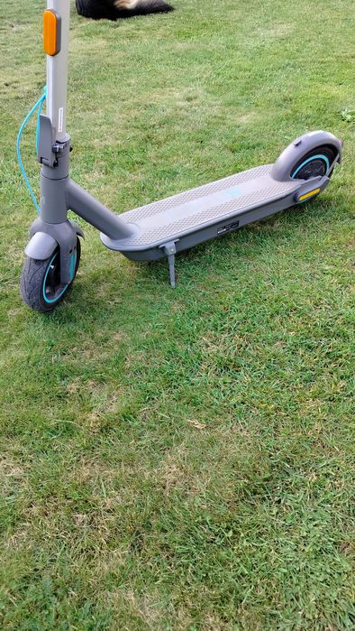 Hulajnoga Motus scooty 10