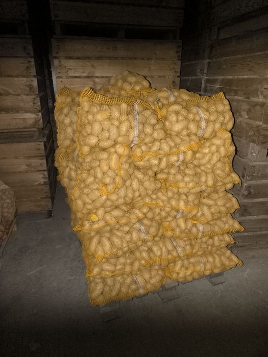 Ziemniaki Queen Anna