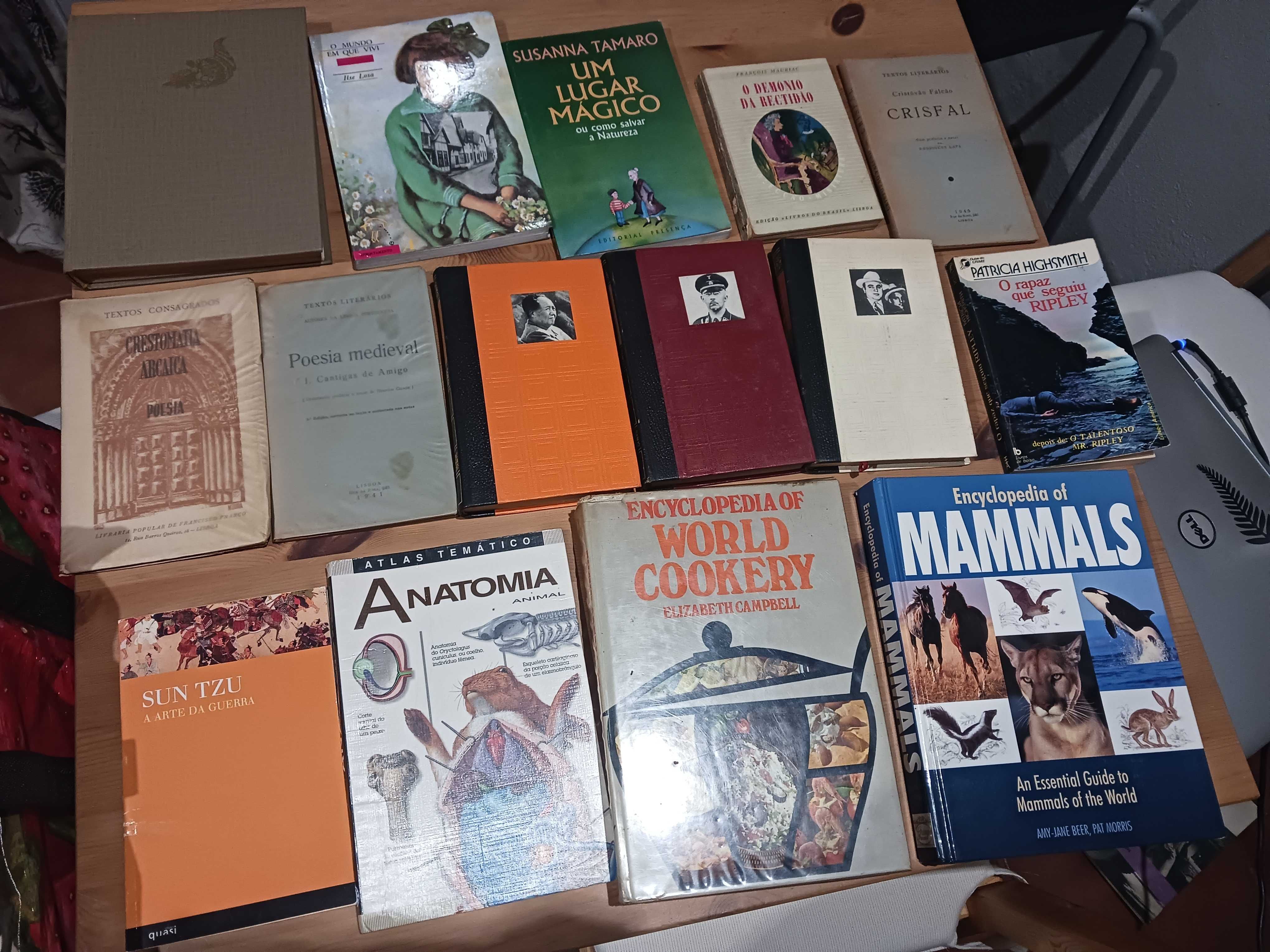 Livros vários (IV)