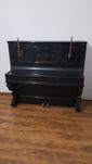 Pianino BERLIN Hofman