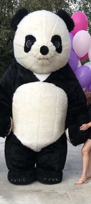 Надувний костюм панди