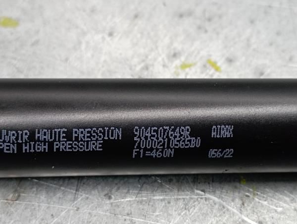 Amortecedor da mala RENAULT Captur II