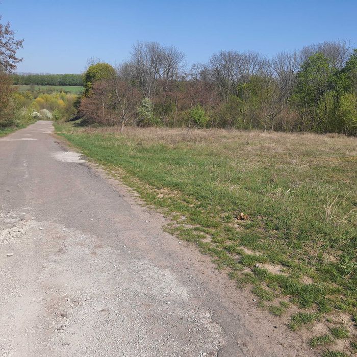 Земельный участок Цена 500$ за сотку