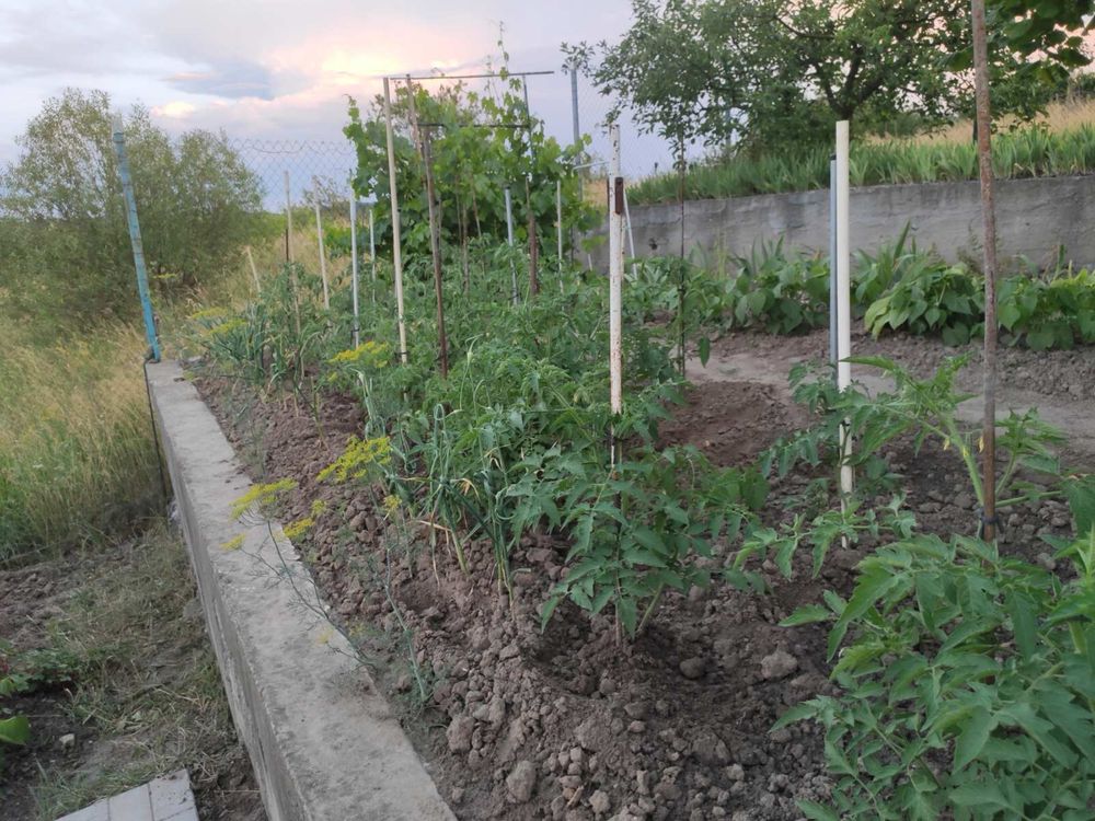 Продаж будинку Ходосівка