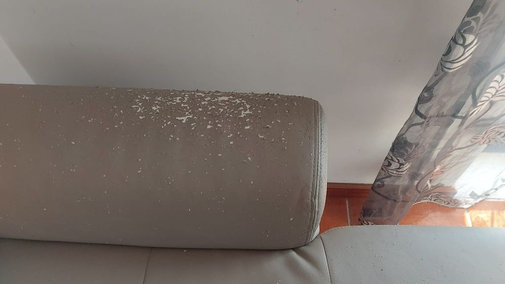 Vendo sofá no estado que se encontra