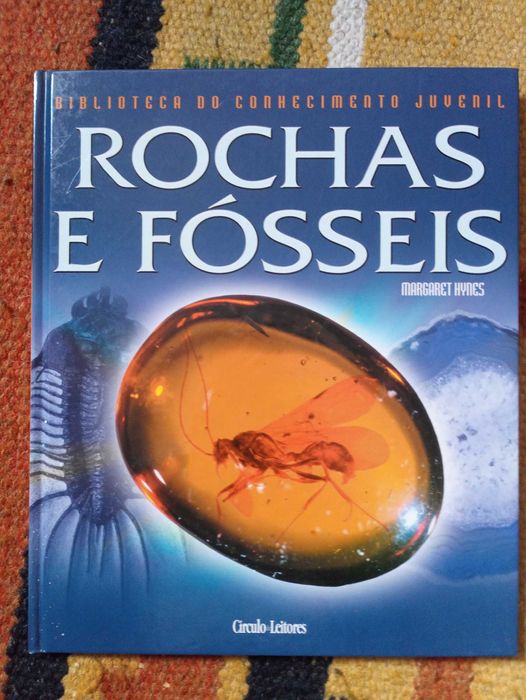 Rochas e Fósseis de Margaret Hynes