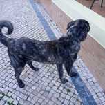 Castro Laboreiro