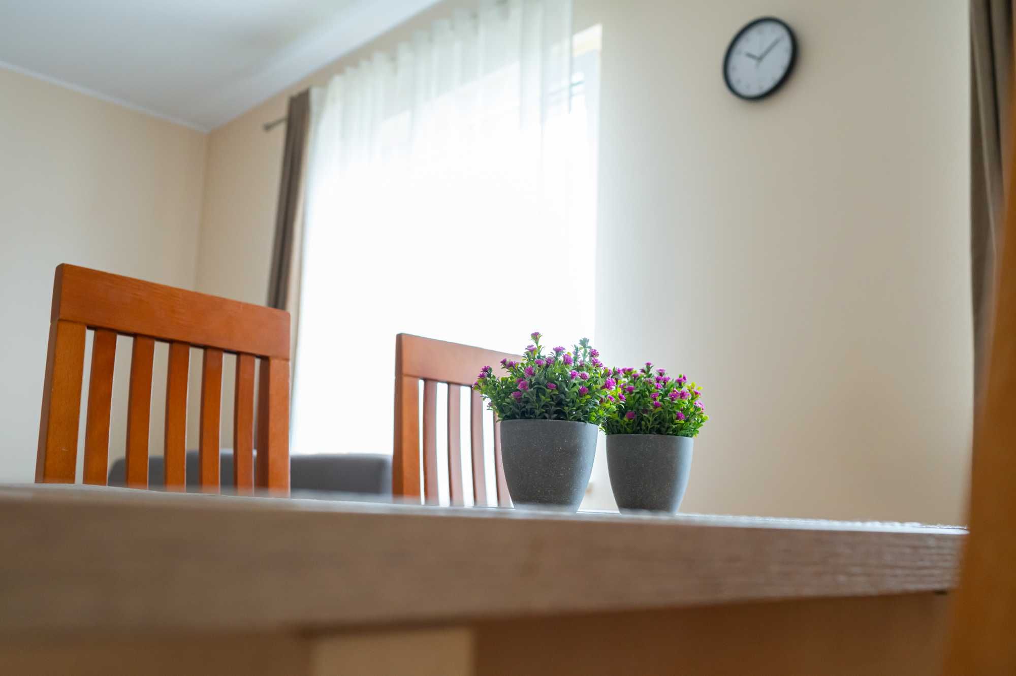 Promocja ! Noclegi Wągrowiec Apartament 45 zł/osobę