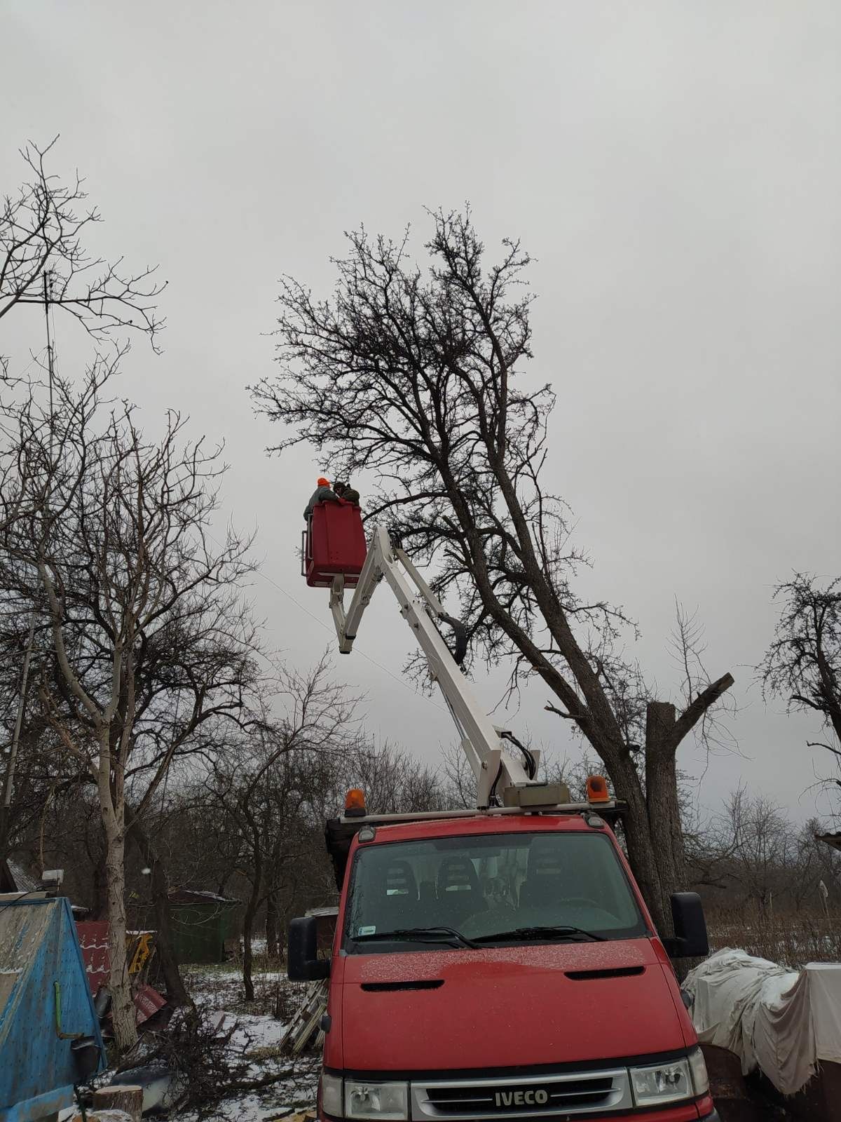 Надання послуг  по деревах