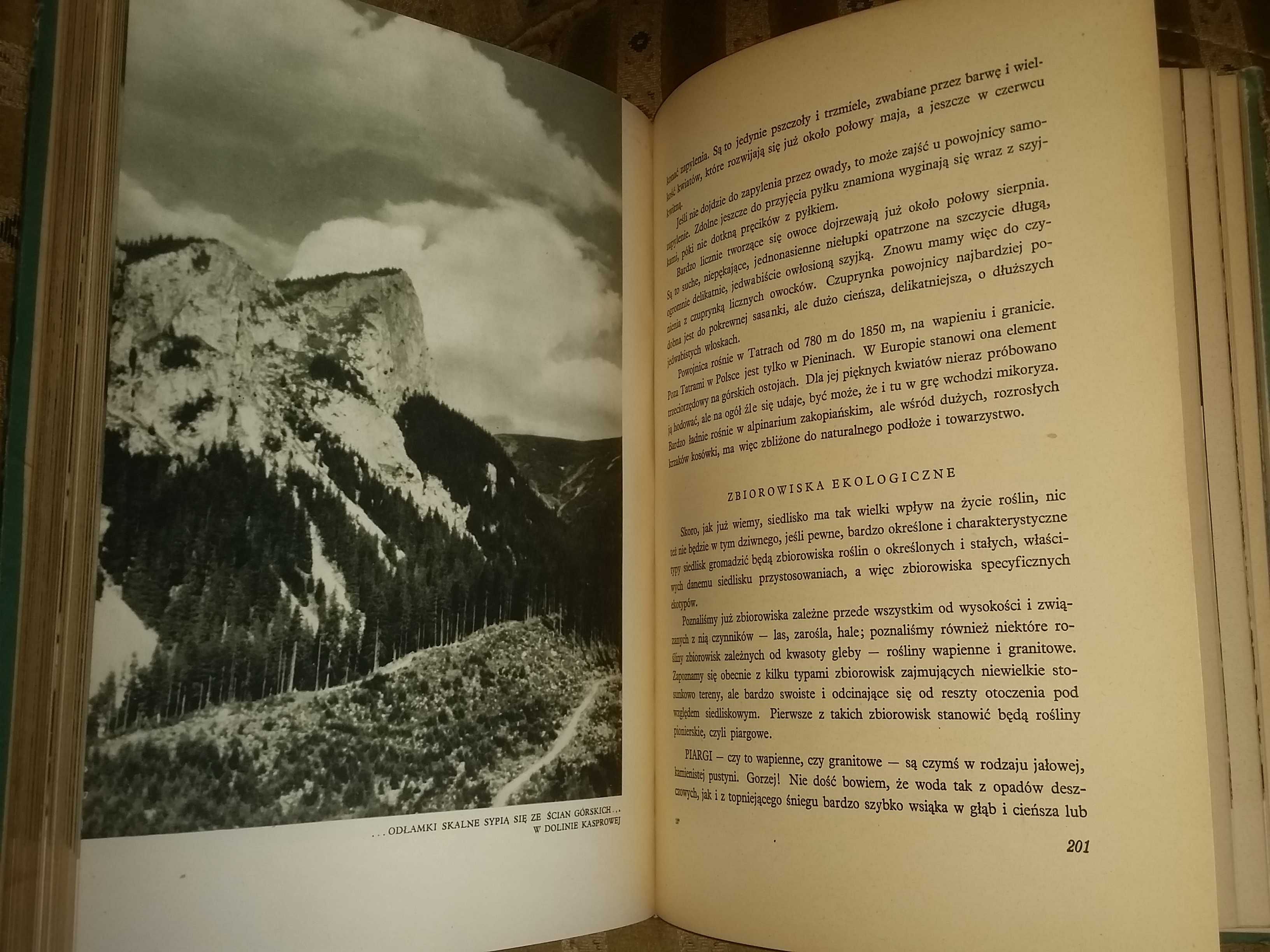 Tatry Zielony Świat Tatr Nasza Księgarnia 1953 zabytkowy album