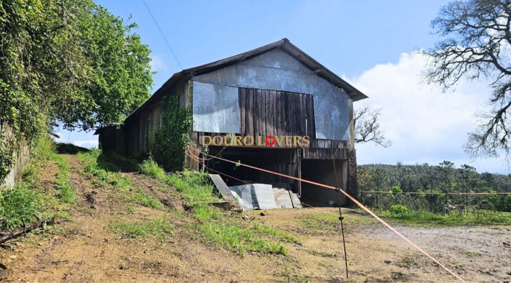 Quinta centenária vinícola em terreno urbano