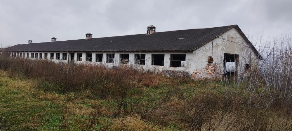 Корівник. Стайня